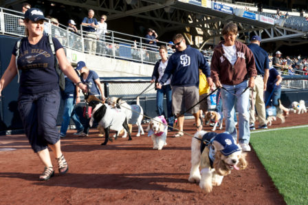 Bringing Bark to the Ballpark : Presidio Sentinel