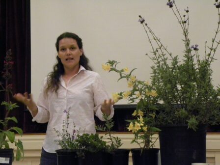 Amy Huie showed us a selection of several varieties of natives which she had chosen from Mission Hills Nursery.