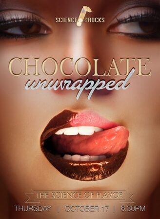 Chocolate_unwrapped_small[1]