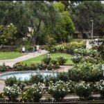 Balboa Park Rose Garden Earns Special Recognition
