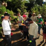 Friends of Balboa Park Initiate Water Conservation Efforts