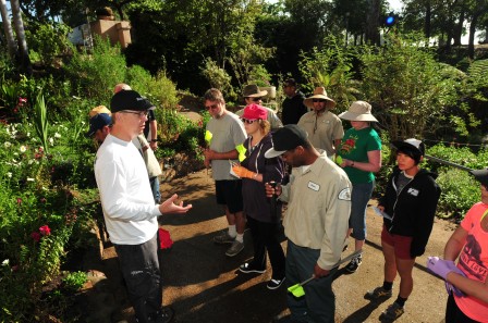 Staff and volunteers work together to install water conservation systems in Balboa Park.