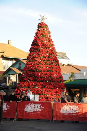 A 25’ tower of over 1,000 gorgeous poinsettias will be positioned in the middle of Piazza Basilone in Little Italy.