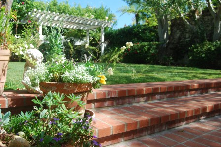 Many gardens have benefitted from Mission Hills Nursery.