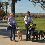 DogFest Walk n Roll to benefit Canine Companions for Independence