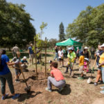 Kate Sessions Birthday Celebration in Balboa Park Invites Tree Lovers to “Plant It Forward”