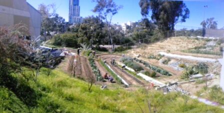 San Diego City College uses the terrain to conserve water while creating a garden.