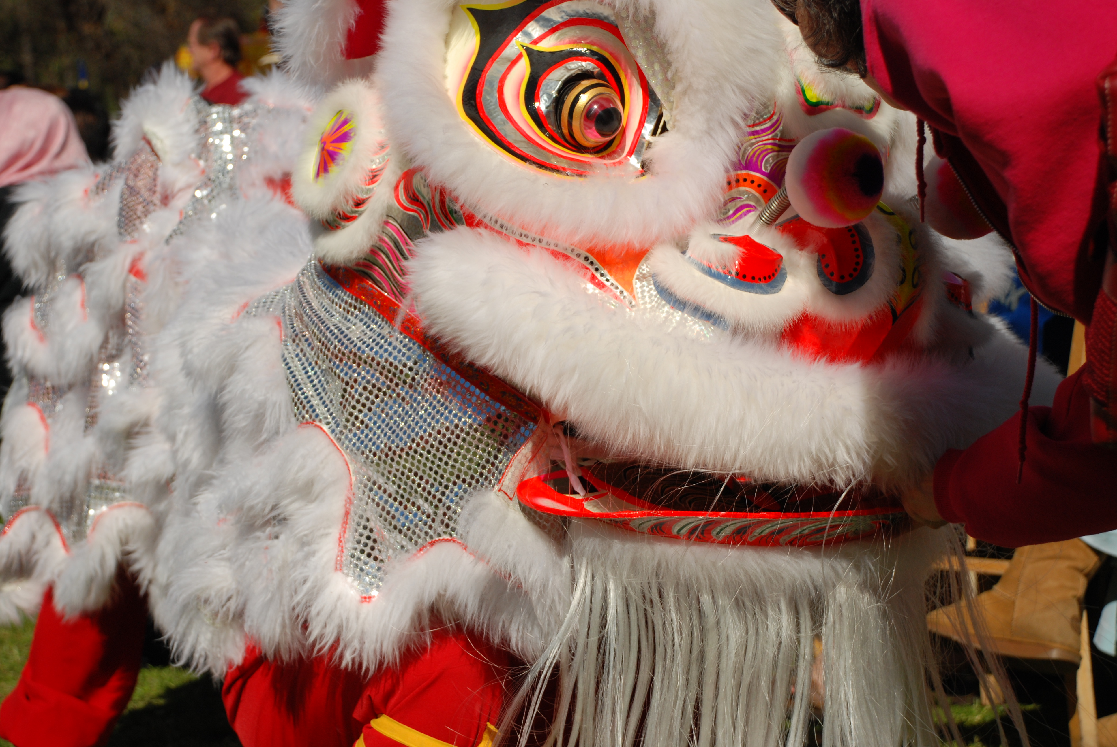 Vietnamese Tet Festival – dragon : Presidio Sentinel