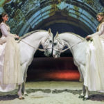 Cavalia: A Magical Encounter Between Human and Horse