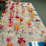 14th Annual Hawaiian Plumeria Festival