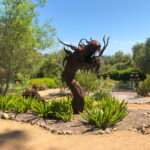 Celebrating 25 Years of Alta Vista Botanical Gardens