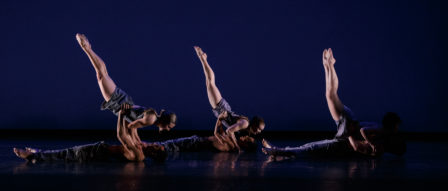 Malashock dancers bring athleticism, creativity and artistry to their performances. 
