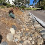 Donations Needed to Restore the Presidio Park Cobblestones