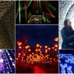 Internationally Acclaimed Lightscape Returns to San Diego Botanic Garden