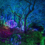 Internationally Acclaimed Lightscape Announces Return to San Diego Botanic Garden for 2025