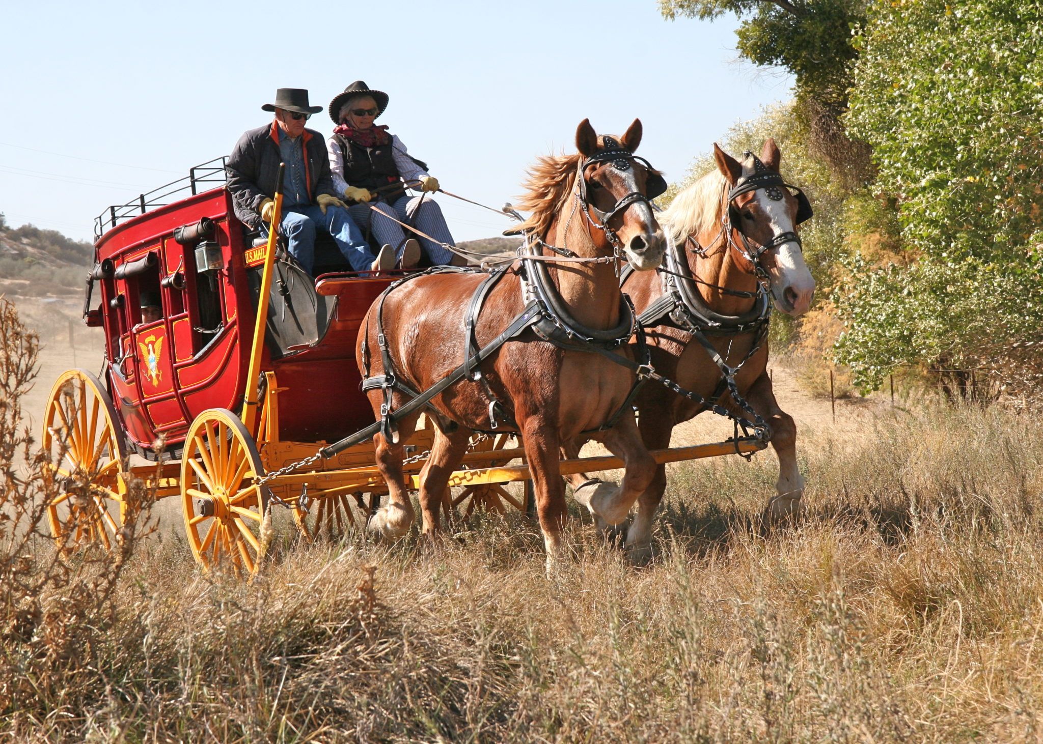 Warner-carrillo Stagecoach Rides Relive An Historic Experience 