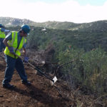 Urban Corps of San Diego Receives Grant to Plant 2000 Trees