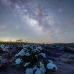 Anza-Borrego Expands Dark Sky Experiences with Free Monthly Star Kits