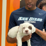 USD Basketball Teams Step Off the Court to Help Shelter Pets During Overcrowding Crisis