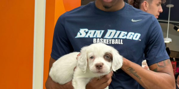 USD Basketball Teams Step Off the Court to Help Shelter Pets During Overcrowding Crisis